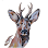 photo-14.png